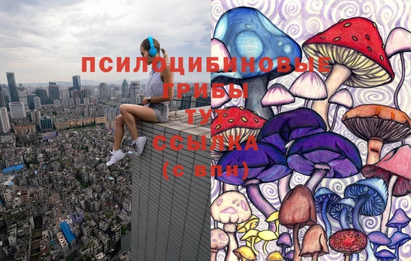 прущие крисы Дмитров