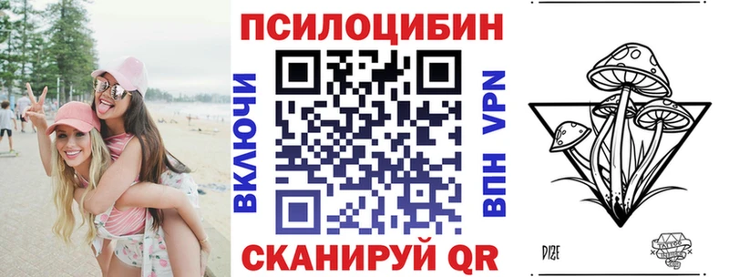 купить наркоту  Киржач  Псилоцибиновые грибы Psilocybe 