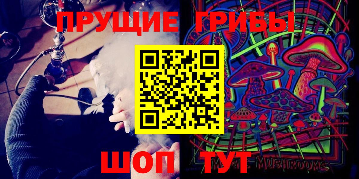 купить  цена  Вход с VPN  Киржач  Галлюциногенные грибы GOLDEN TEACHER 