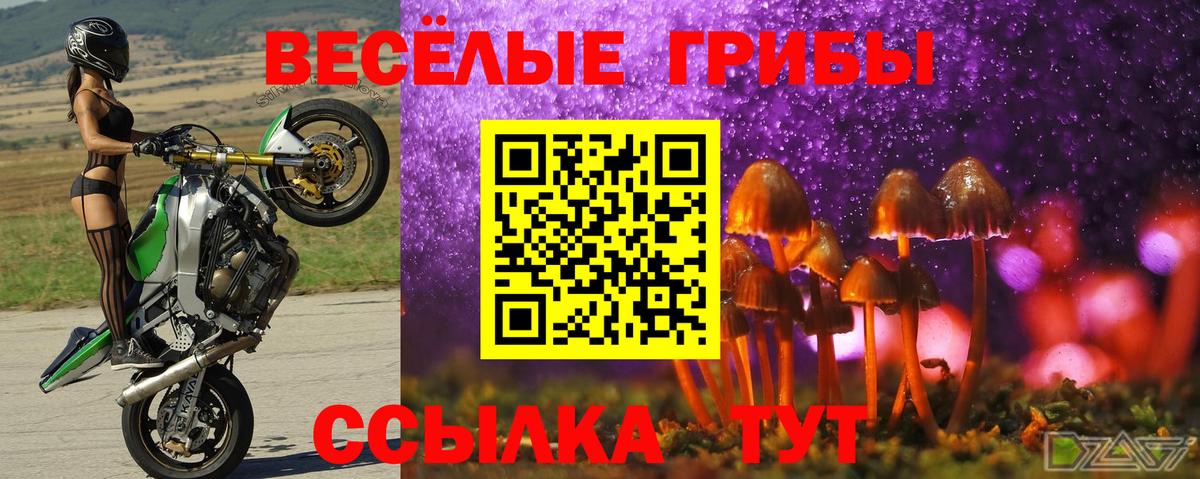 Псилоцибиновые грибы GOLDEN TEACHER Киржач